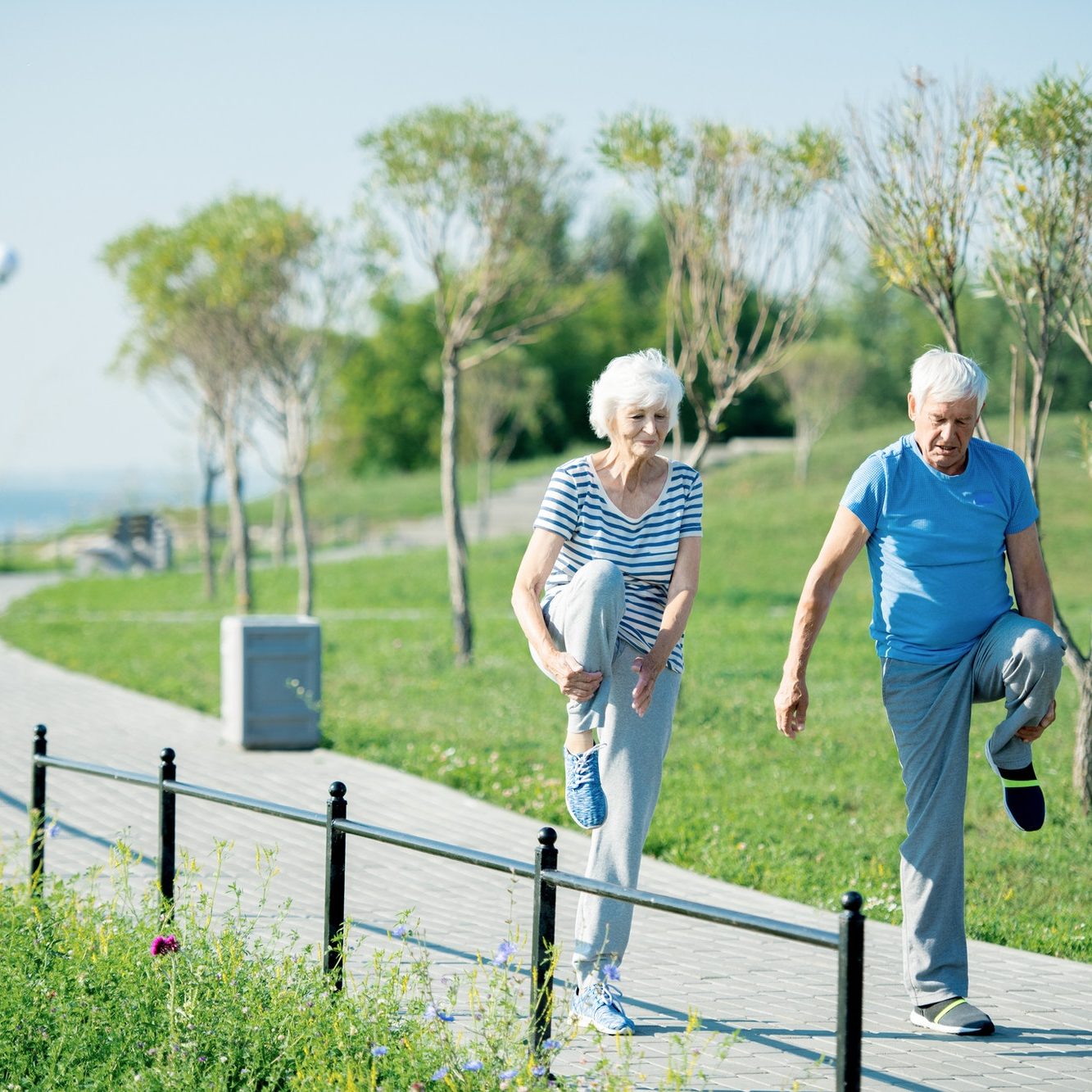 Active Senior Couple Active Senior Couple