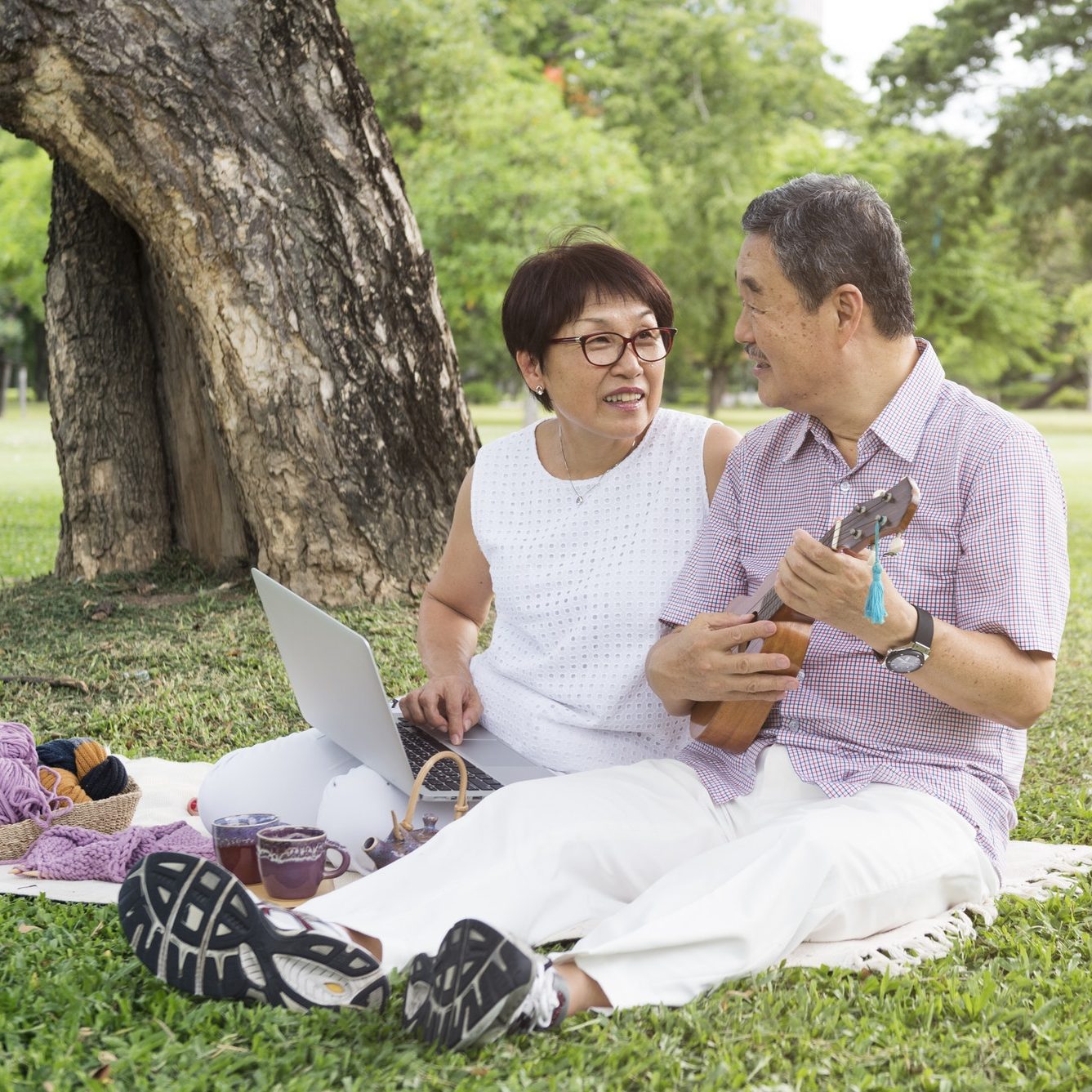 Senior Couple Leisure Outside Concept